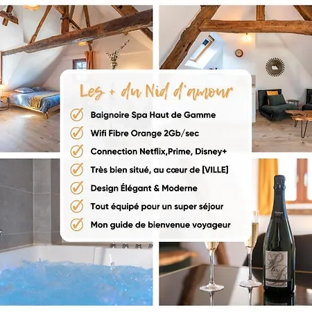 Appartement Centre-ville Le Nid D'amour Jacuzzi Rouen